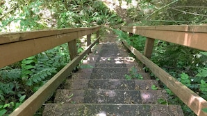 Eine hölzerne Treppe führt bergauf, umgeben von dichtem Grün.