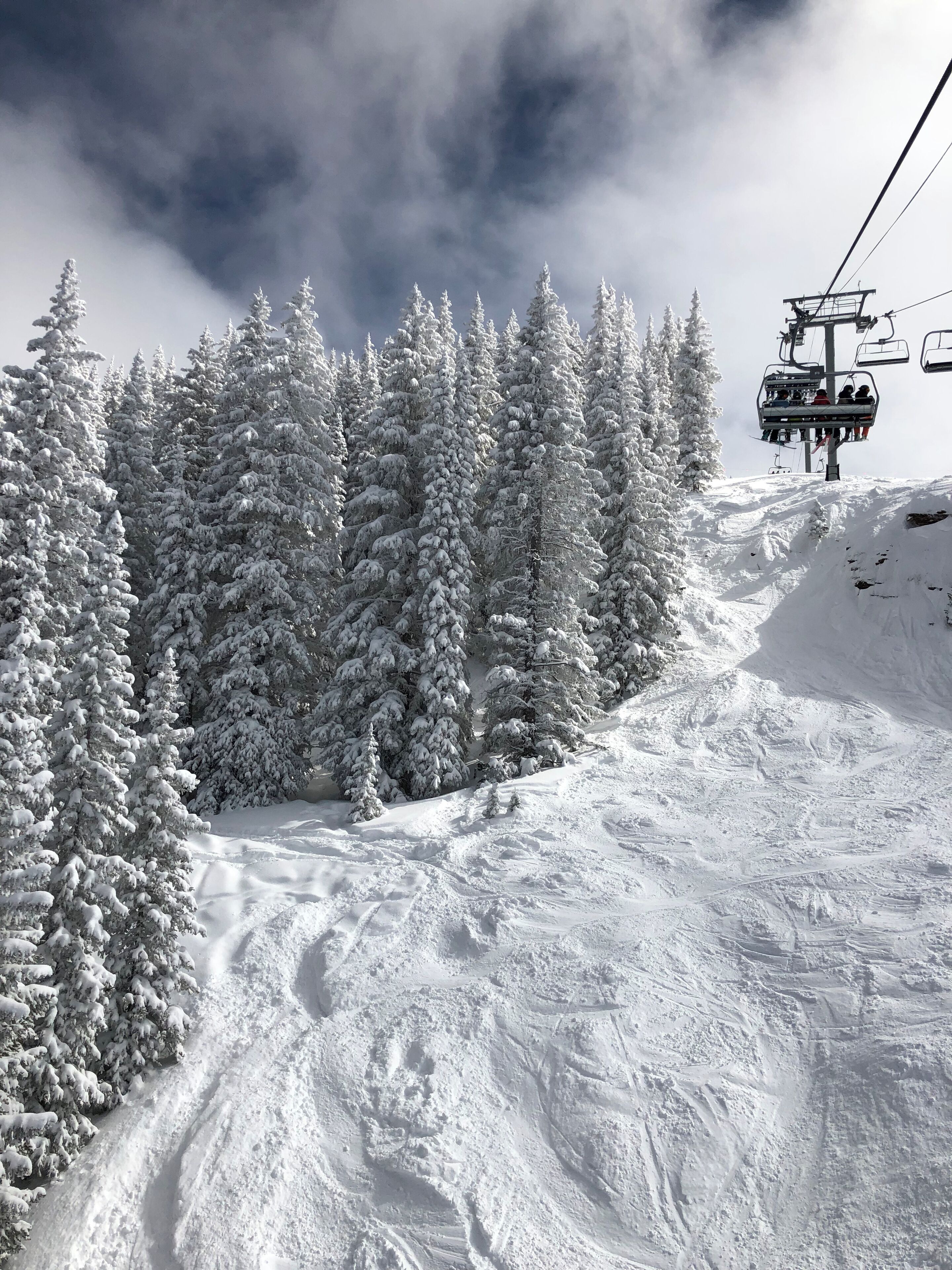 Sneeuw- en skisporten