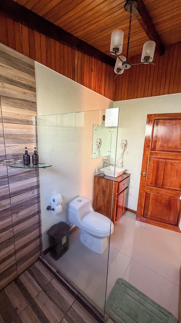 A bathroom with a glass shower enclosure, a white toilet, a wooden vanity with a mirror, and a wooden door. - Brumas de Valverde (Monteverde)