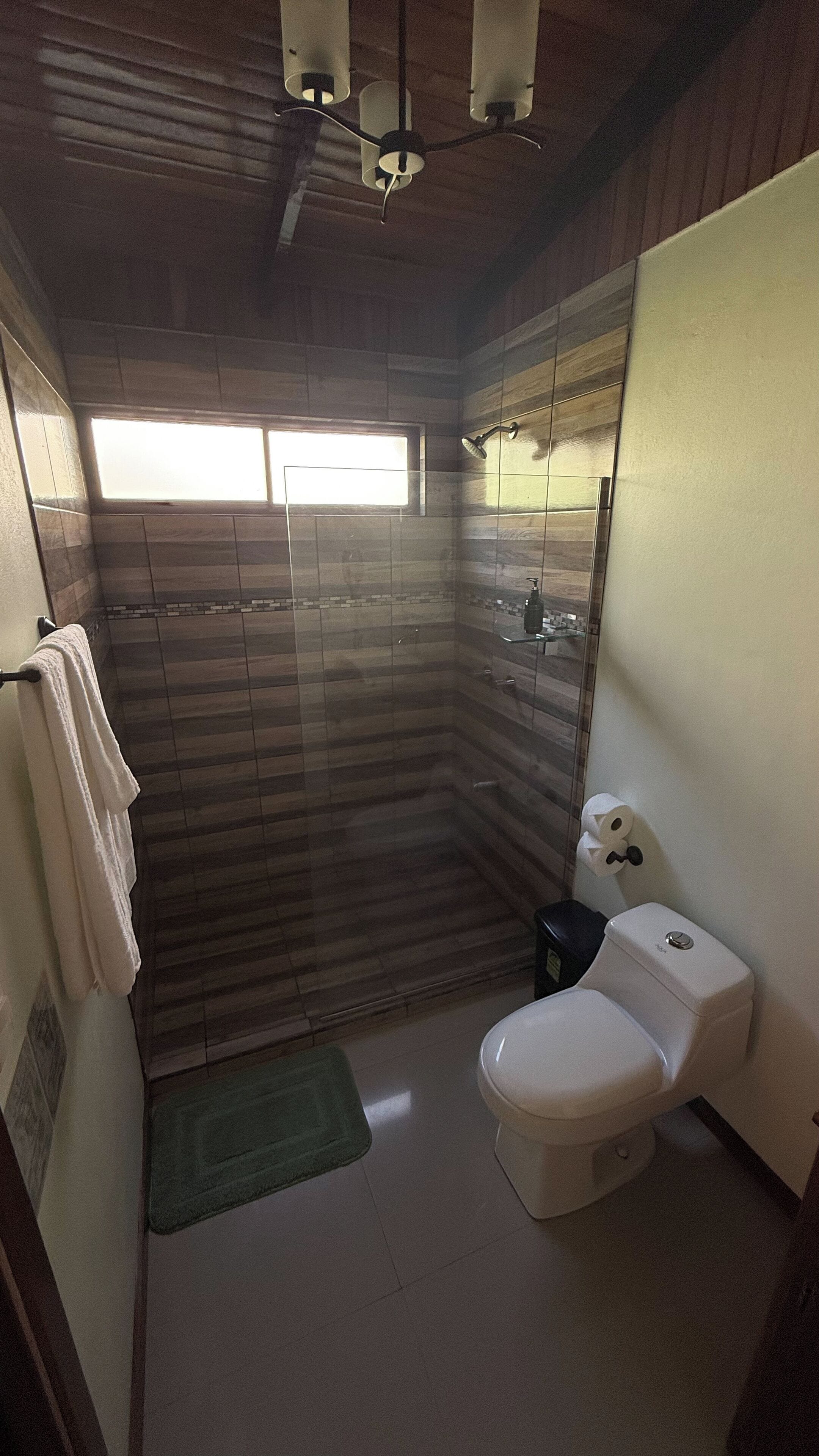 Ducha, secador de pelo, toallas y jabón