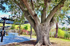 Outdoor dining - Cozy Lake Home in Tampa (Tampa)