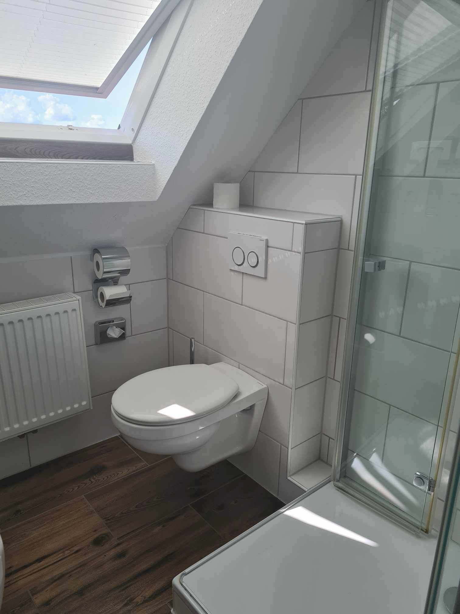 Een moderne badkamer met dakraam, toilet, douche en radiator.