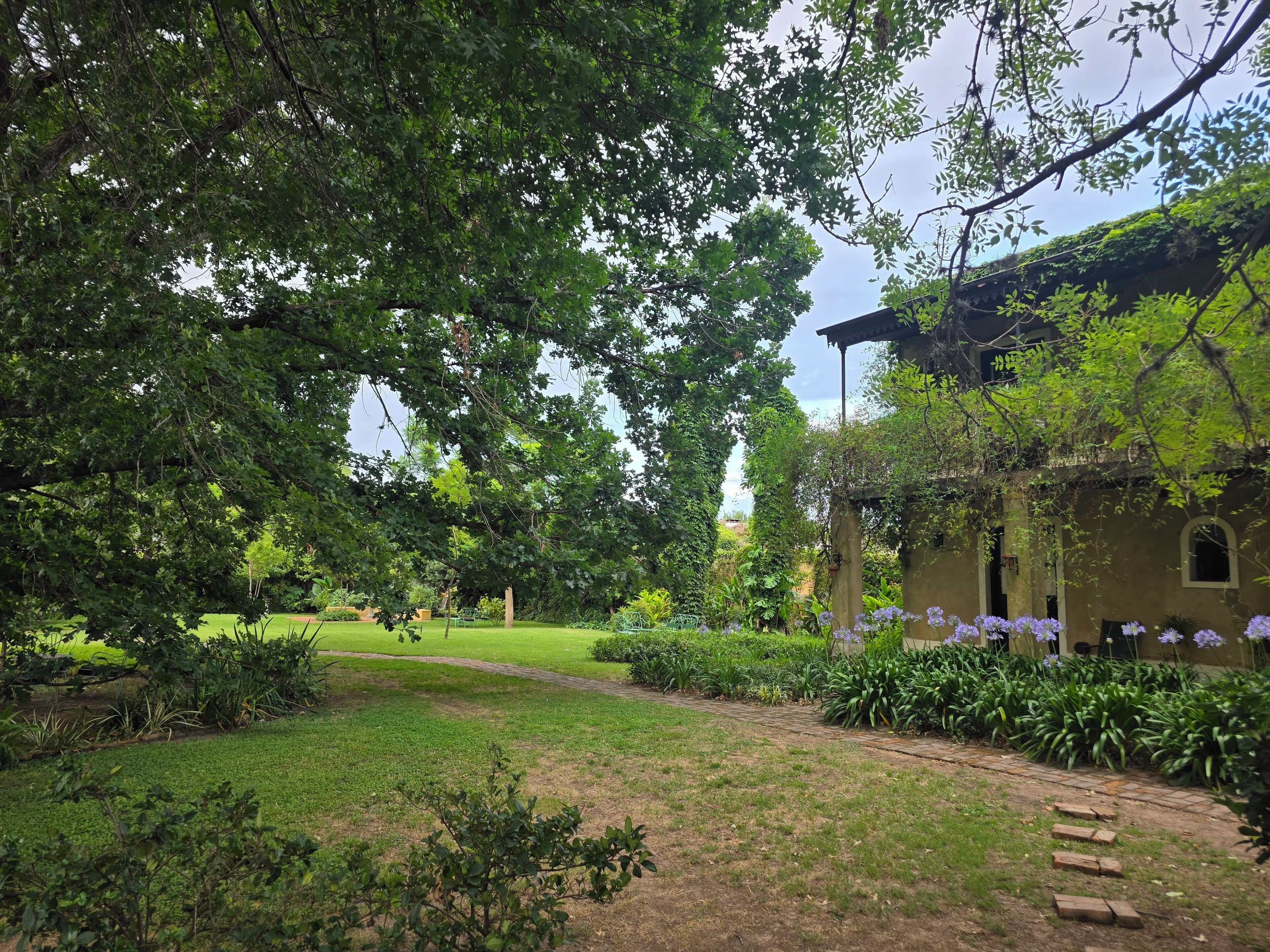 A garden with a pathway leading to a building with a green roof and purple flowers.