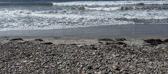  Baja Coastal Escape - Relax & Recharge - Pet Friendly