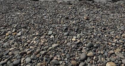 Baja Coastal Escape - Relax & Recharge - Pet Friendly