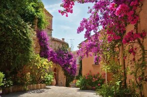 Unclassified image, 2 of 13, button - Terrasse Azur, 4 person apartment, large terrace (Bormes-les-Mimosas)