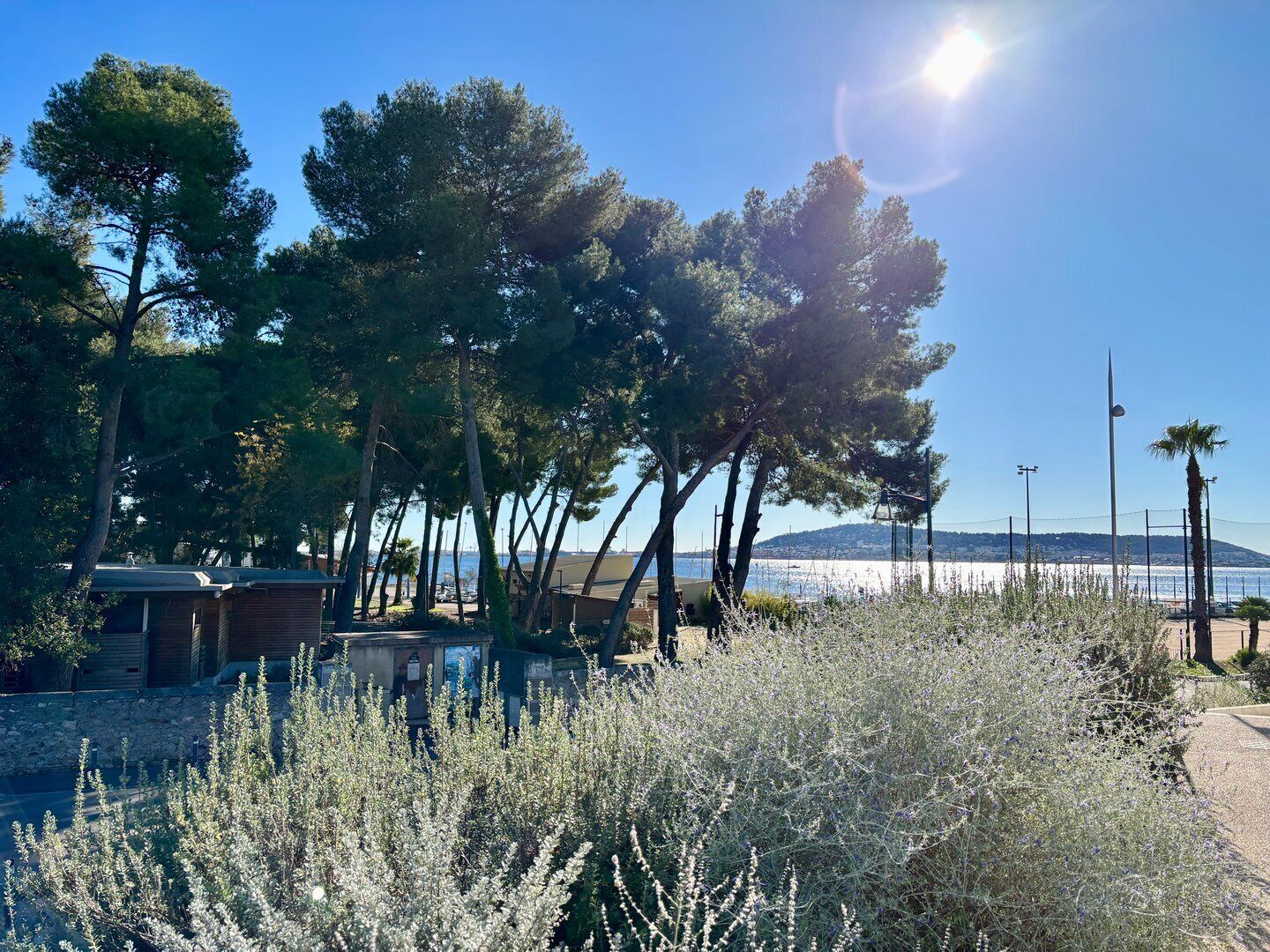 Eine Küstenlandschaft mit Bäumen, blauem Himmel und Blick auf das Meer.