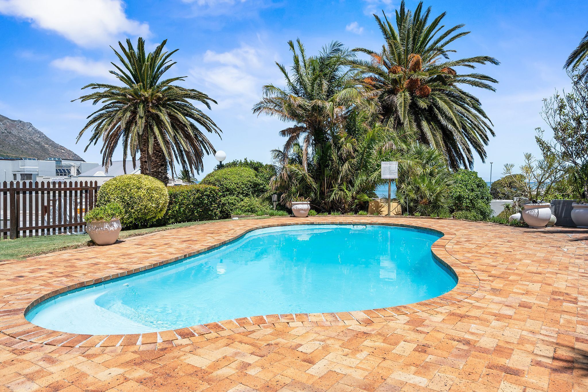 A swimming pool with a brick border, surrounded by palm trees and greenery.