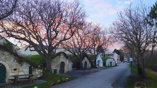 A stone building with arched doorways, a paved pathway, and trees with pink blossoms. - Apartments Kellergasse - Blue Apartment (Purbach am Neusiedlersee)
