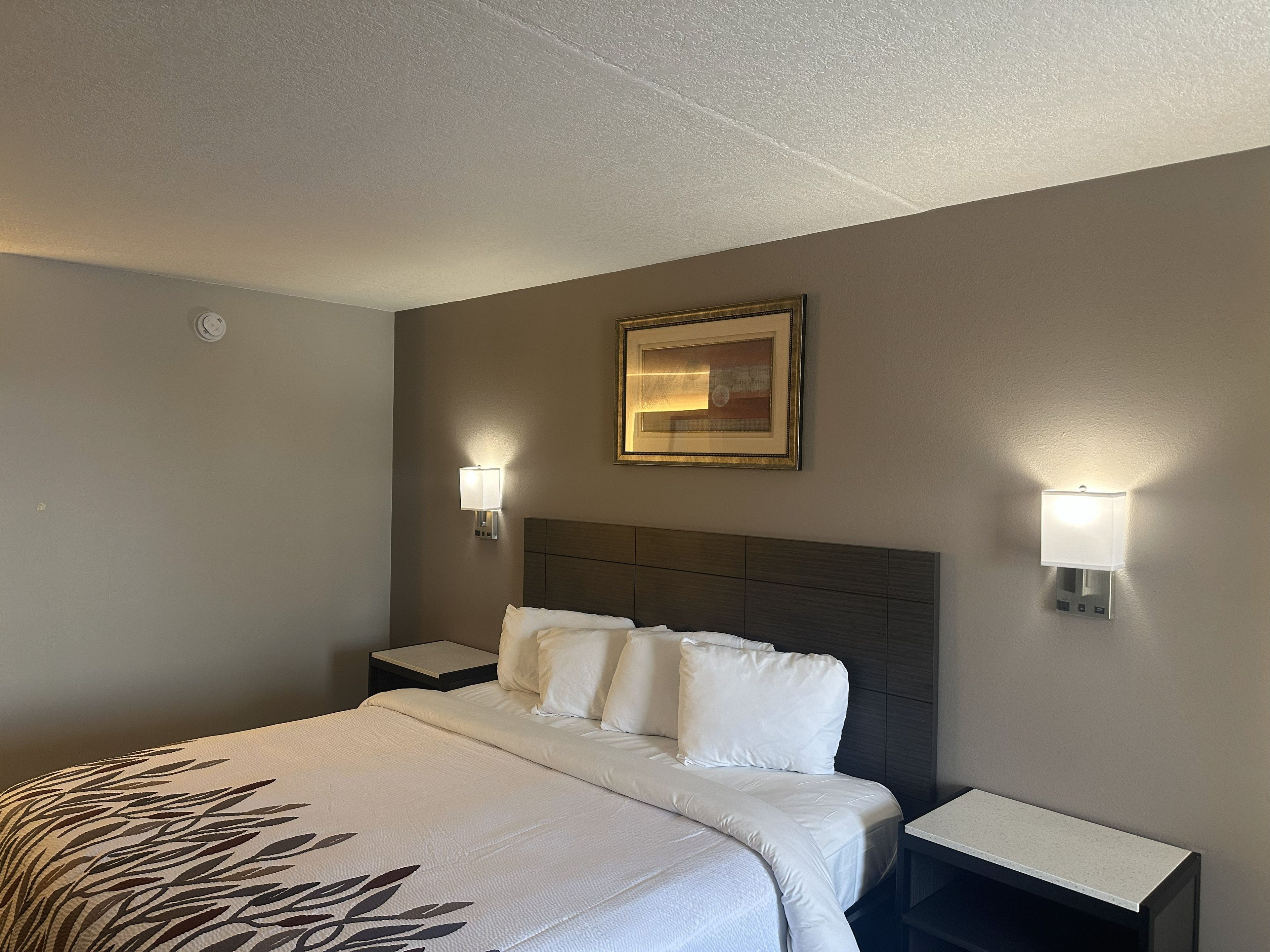 A hotel room with a large bed, two bedside tables, a headboard, and two wall-mounted lamps.