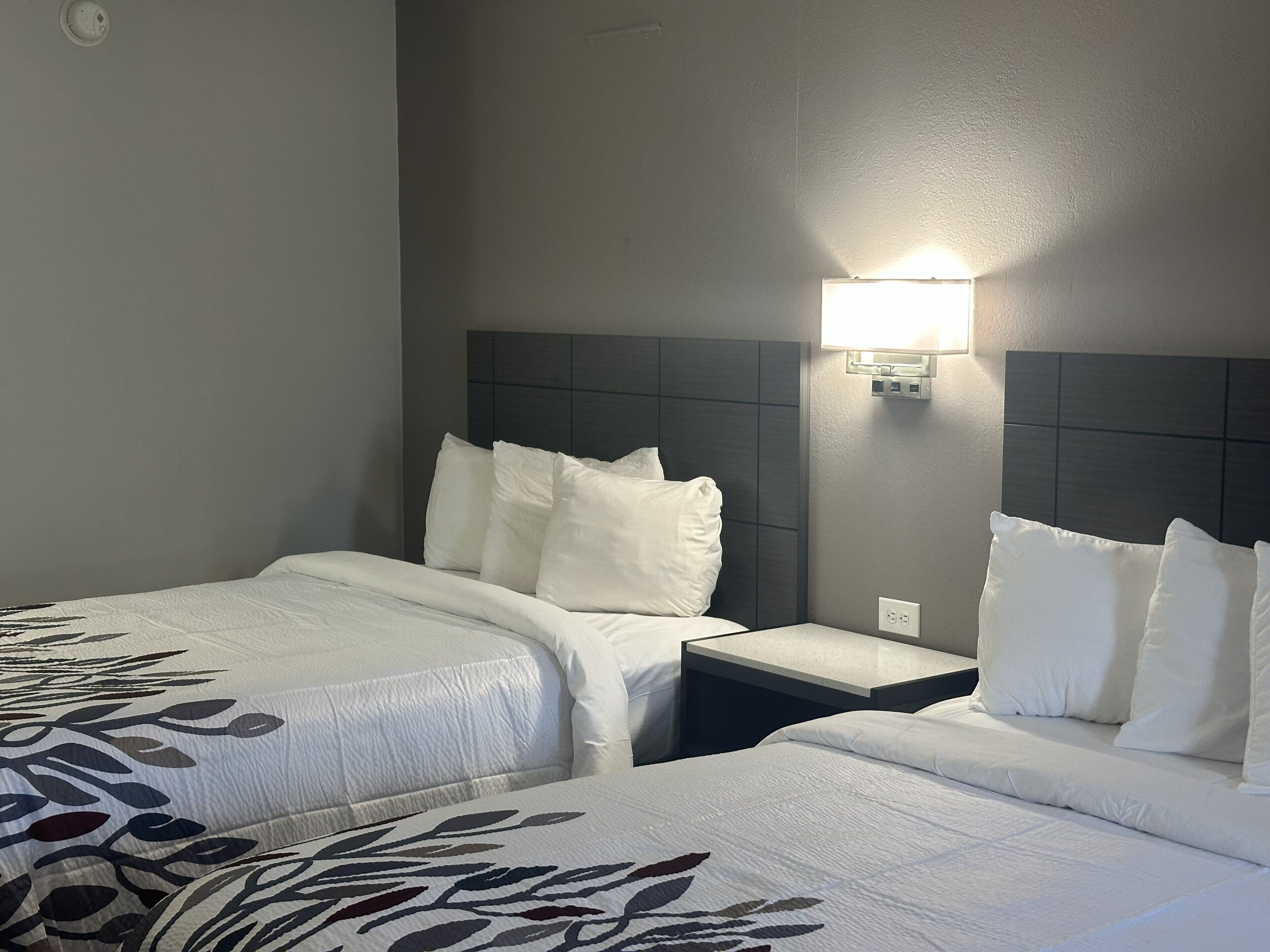 書桌、遮光布/窗簾、免費無線上網、床單