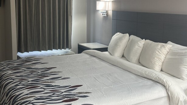 A hotel room with a large bed, a nightstand, a wall-mounted lamp, and a window with curtains. - Red Roof Inn Media, PA (Media)