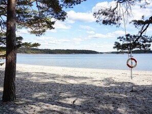 A sandy beach with a lifebuoy and trees.