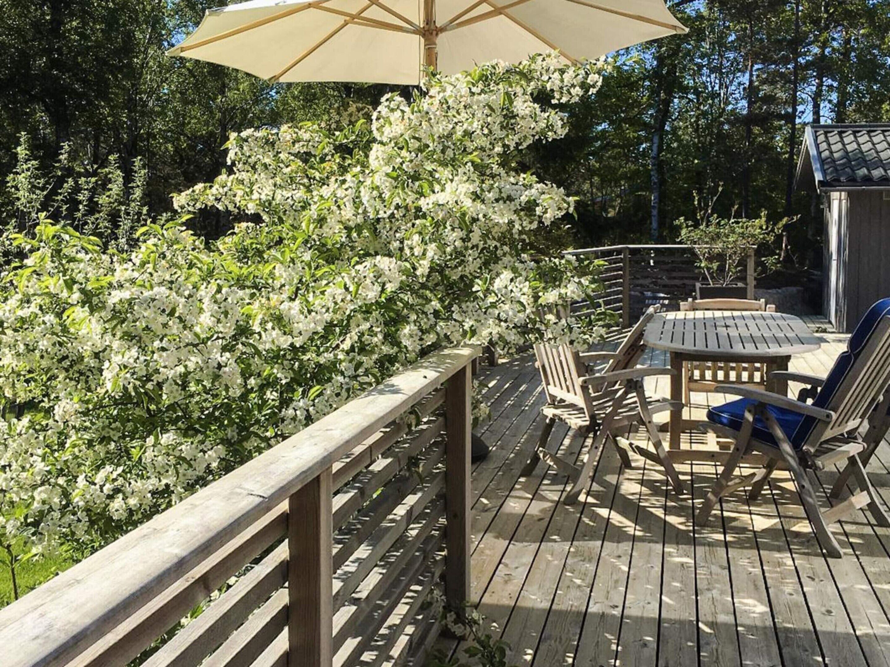 独立别墅 | 外观