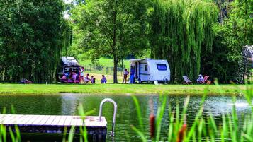 House | Property grounds