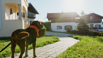 House | View from property
