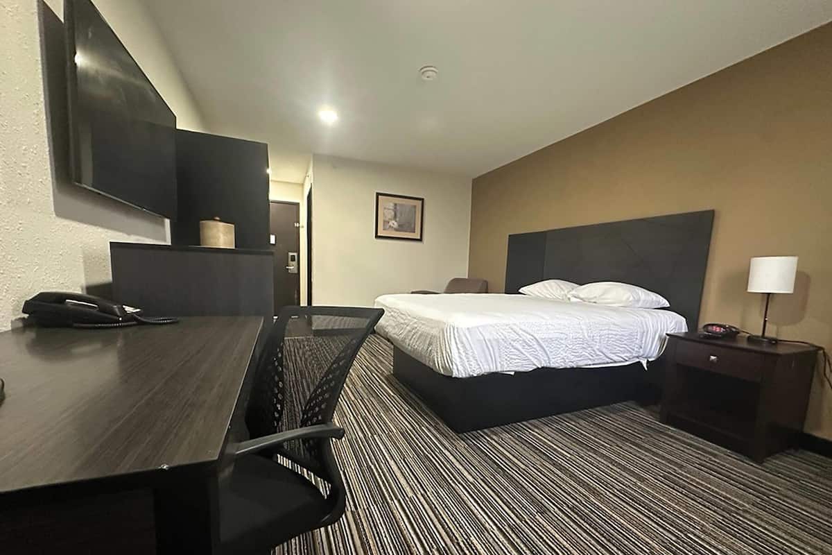 Une chambre d’hôtel comprenant un lit, un bureau avec un téléphone, une chaise, une table de chevet avec une lampe et un téléviseur fixé au mur.