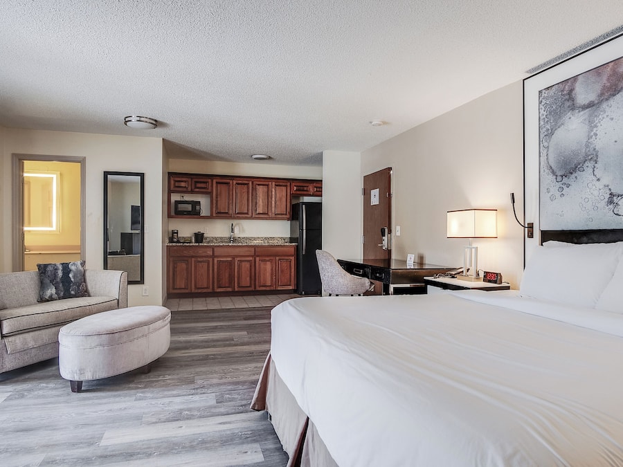 Studio Suite, 1 King Bed, Non Smoking | Desk, laptop workspace, iron/ironing board, rollaway beds