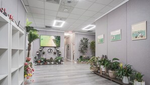 Un passadís amb terra de fusta, plantes en testos i quadres a les parets.
