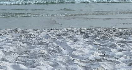 Modern room with separate patio/for two persons