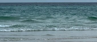 Modern room with separate patio/for two persons