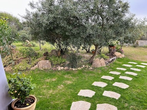 Property grounds - DOMO on NEULACHE Country villa consisting of two apts. 5 minutes from the sea (Sardegna)