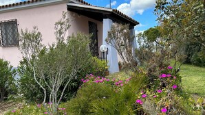 A house with a pink exterior, surrounded by a garden with various plants and pink flowers. - DOMO on NEULACHE Country villa consisting of two apts. 5 minutes from the sea (Sardegna)