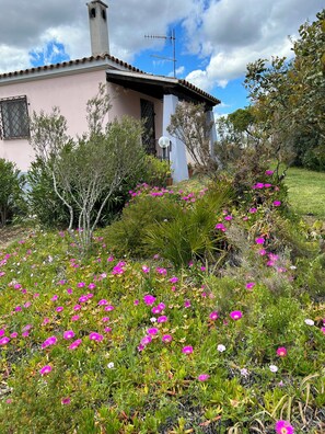 Exterior detail - DOMO on NEULACHE Country villa consisting of two apts. 5 minutes from the sea (Sardegna)