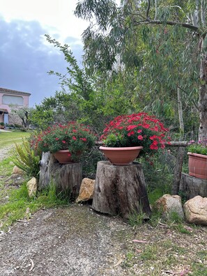Property grounds - DOMO on NEULACHE Country villa consisting of two apts. 5 minutes from the sea (Sardegna)