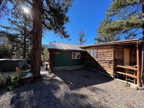 Exterior - Mountain cabin, river views and only 15 MINUTES to Wolf Creek Ski area! Sleeps 2. (South Fork)