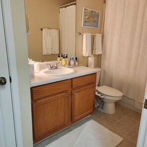 Hair dryer, bidet, towels, soap