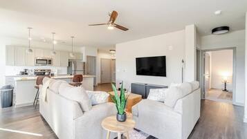 Televisión y chimenea