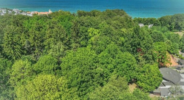 Ein dicht bewaldetes Gebiet mit Blick auf das Meer und ein paar Gebäuden in der Ferne.