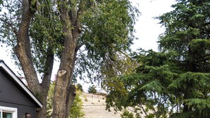 Ein aus Stein gepflasterter Weg führt zu einer Holzterrasse mit Geländer, umgeben von Bäumen und einem Gebäude mit dunkler Fassade.