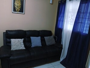Smart TV - Charming 3-bedroom house with AC in Waterford (Waterford)