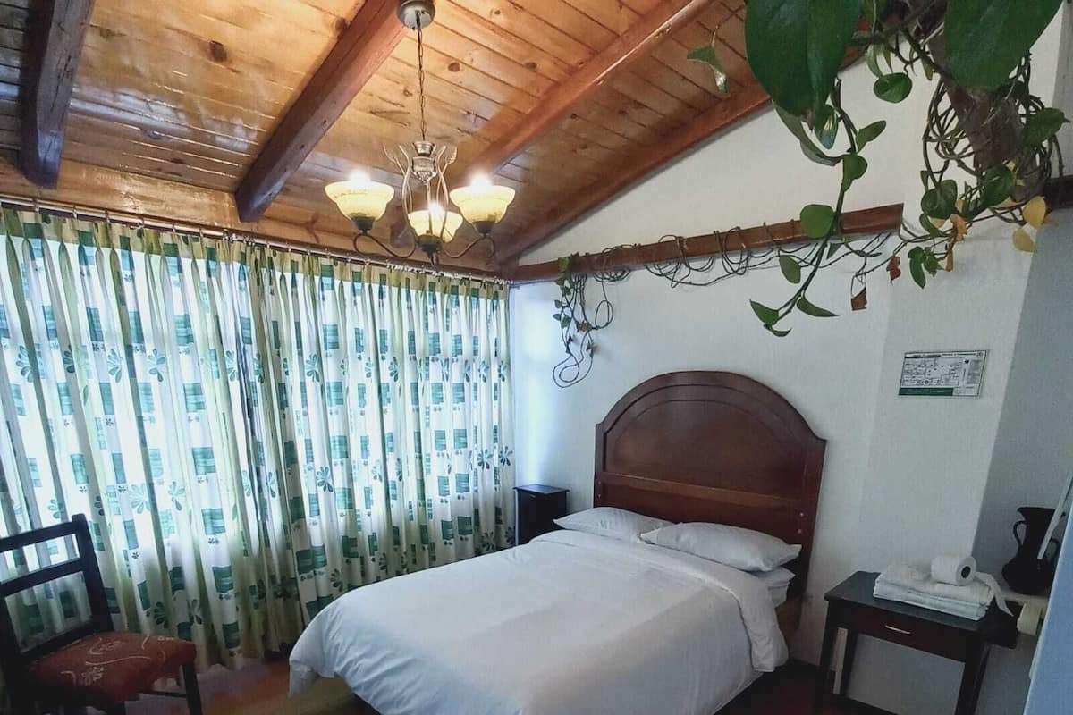 A bedroom with a wooden ceiling, a bed with white bedding, a chair, a bedside table with a lamp, and a hanging plant.