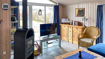 Fernseher, Kamin