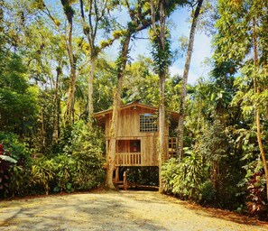 Exterior - Treehouse: Unique Accommodation with Pool, Bathtub, and Restaurant (Pirabeiraba)
