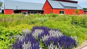Une grange rouge avec un toit gris, entourée d’une végétation luxuriante et de fleurs violettes.