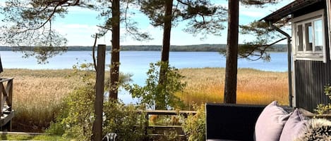 House | Terrace/patio