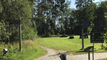 House | Property grounds