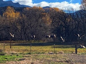 Miscellaneous - Motel Room on Ark River - 2 beds - 15 min to Salida (Howard)