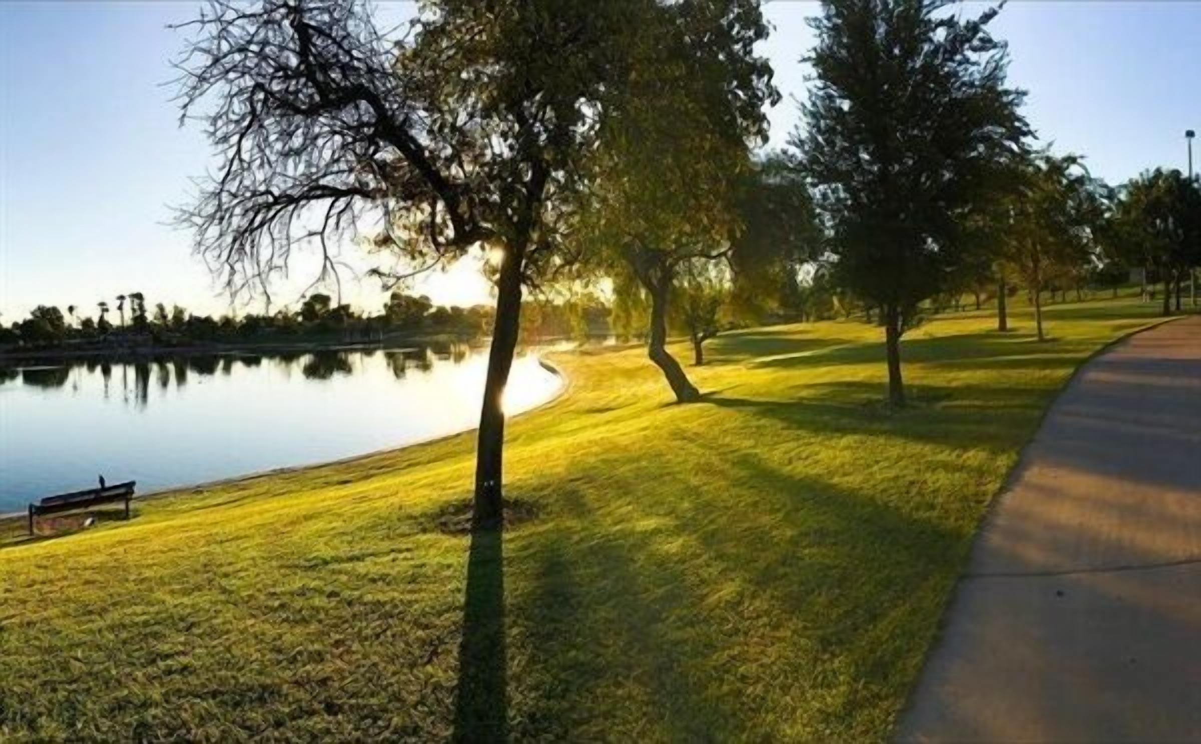 Ein Park mit einem See, Bäumen und einer Bank.