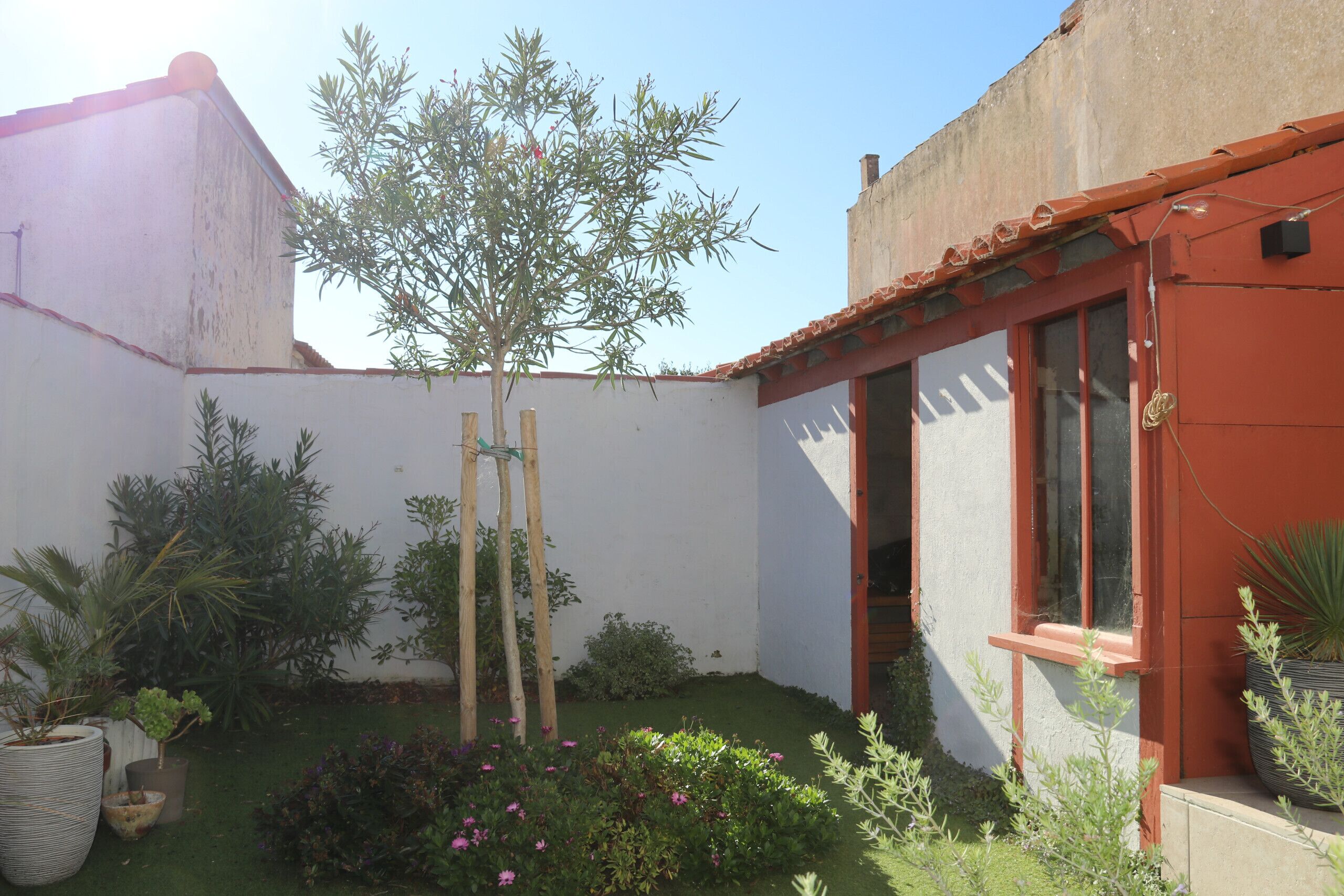 Een kleine tuin met diverse planten en een houten trellis.
