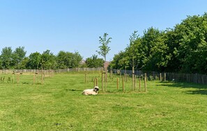 Property grounds - Beautiful home in Volkel with WiFi (Volkel)
