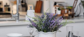 Quiet South Surrey 1BR Near White Rock Beach