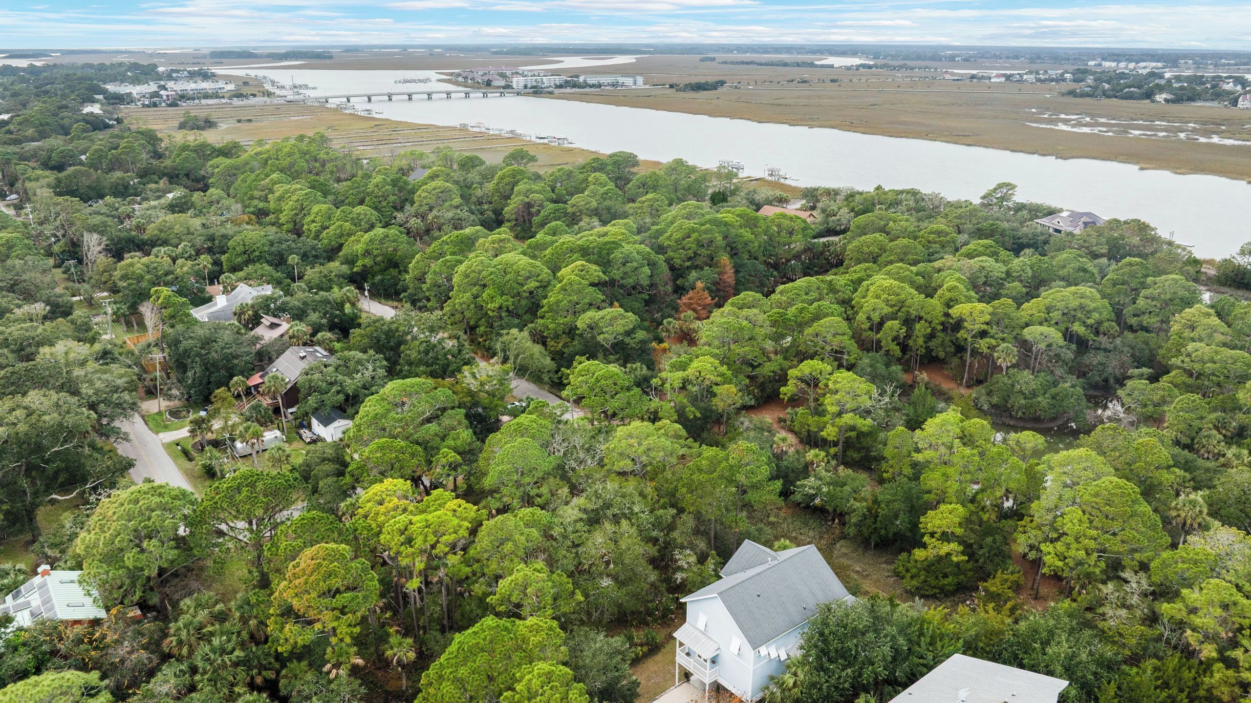An aerial view of a residential area with dense greenery, a river, and a bridge.