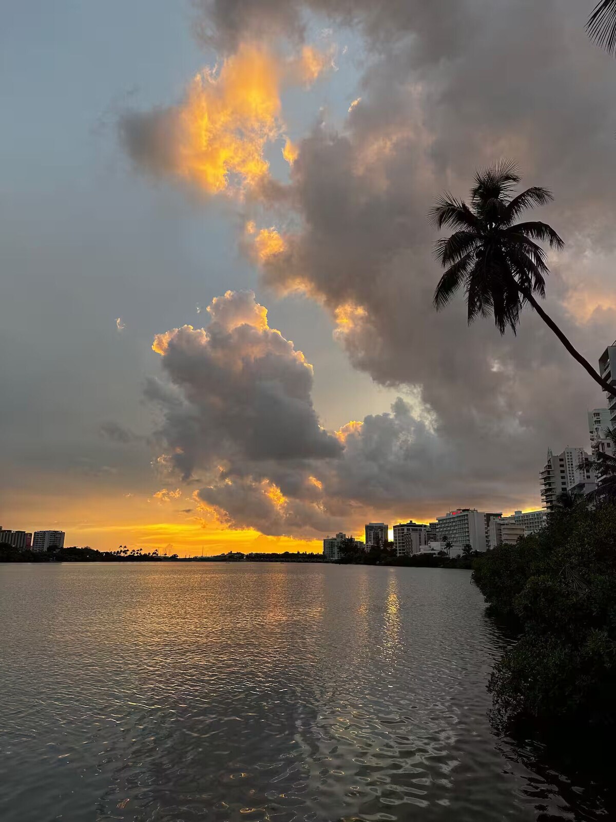 Imagen de perfil del propietario o de la propietaria