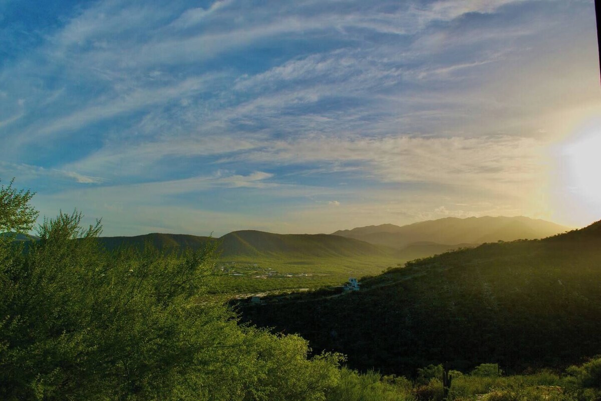 Imagen de perfil del propietario o de la propietaria