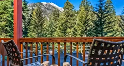 Dog Friendly Forest Dell Retreat